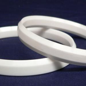 Ceramic Ring Ceramic Ring